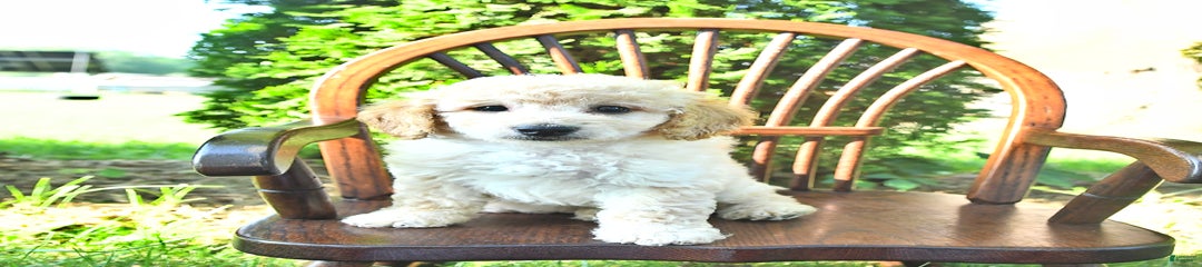 Marco