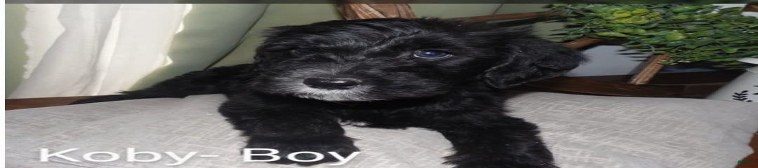 Koby