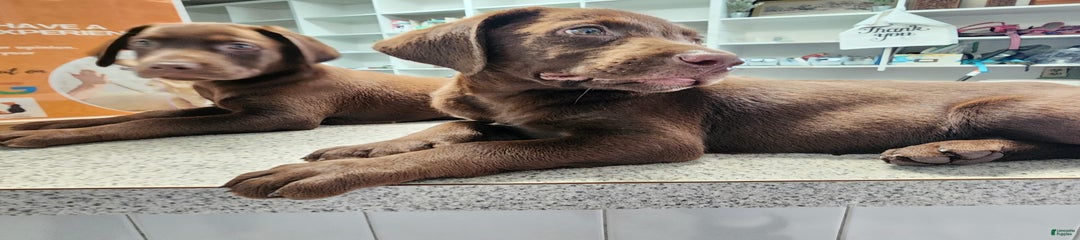 Jan
