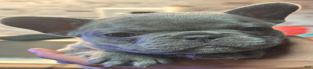 Thanos
