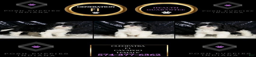 Cleopatra