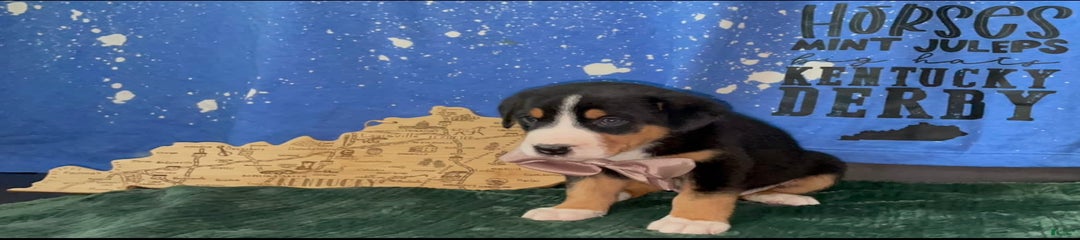 Tucky