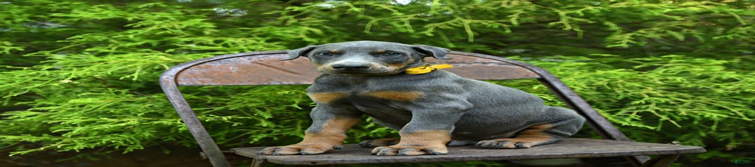 Percy
