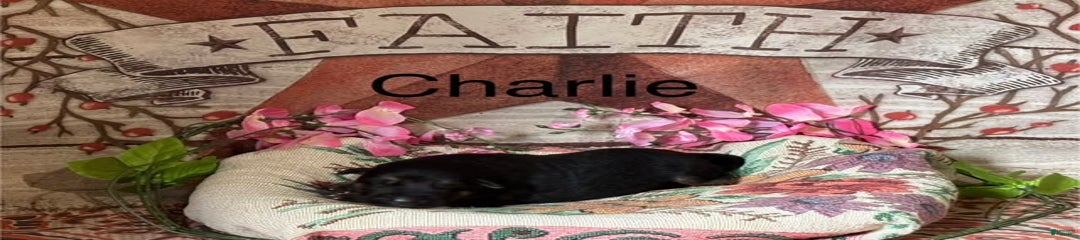 Charlie