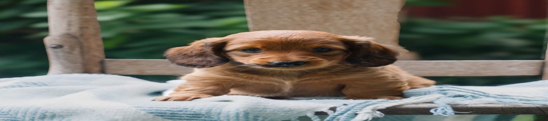 Della