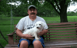 Cavachon dogs for sale: Boots - Image 12