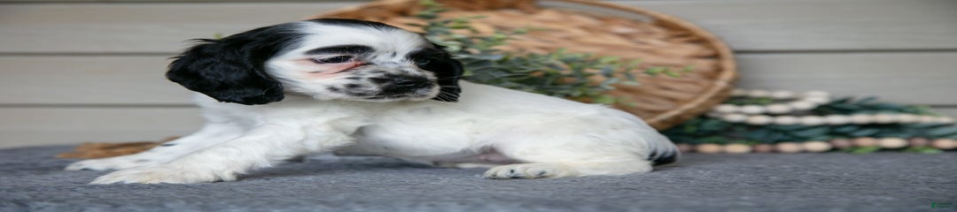 Jenny