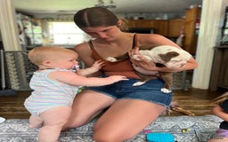 Olde English Bulldogge dogs for sale: Mien - Image 7
