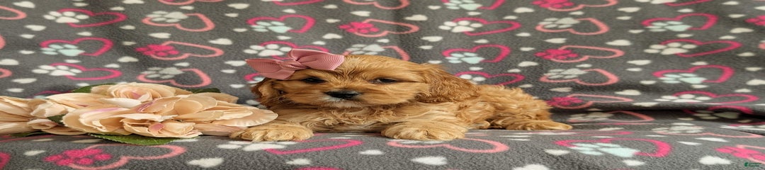 Ella