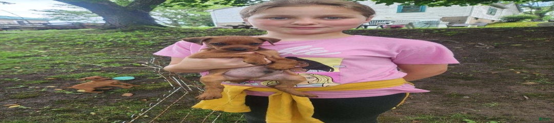 Jake