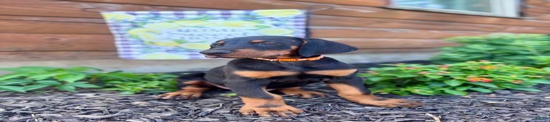 Oscar Dad Is Health Tested