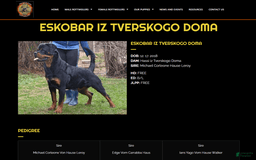 Rottweiler dogs for sale: Rex - Image 15