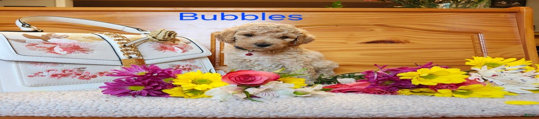 Bubbles