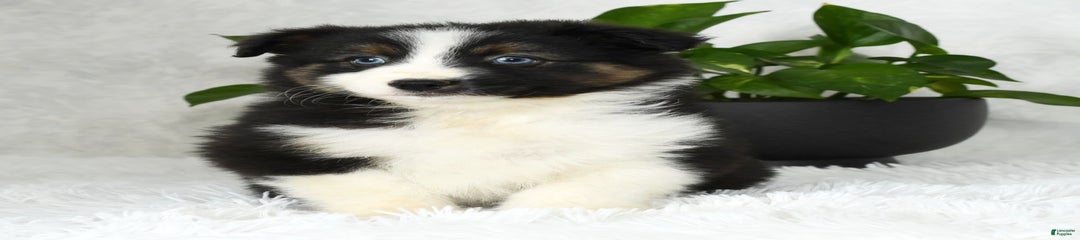 Beulah