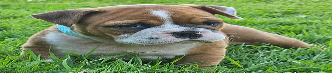 Esther