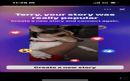 Jack Russell Terrier dogs for stud: Bandit - Image 2
