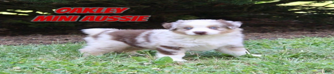 Oakley