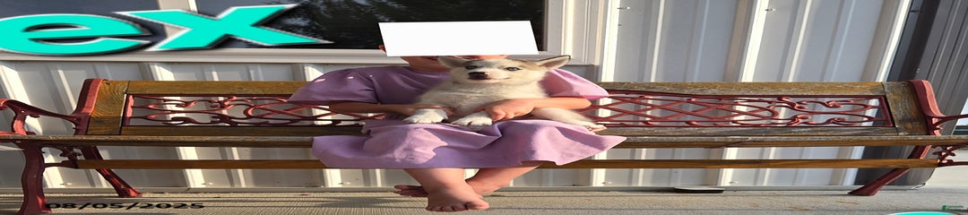 Rex