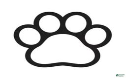 Mixed Breed dogs for sale: Rufus - Image 1