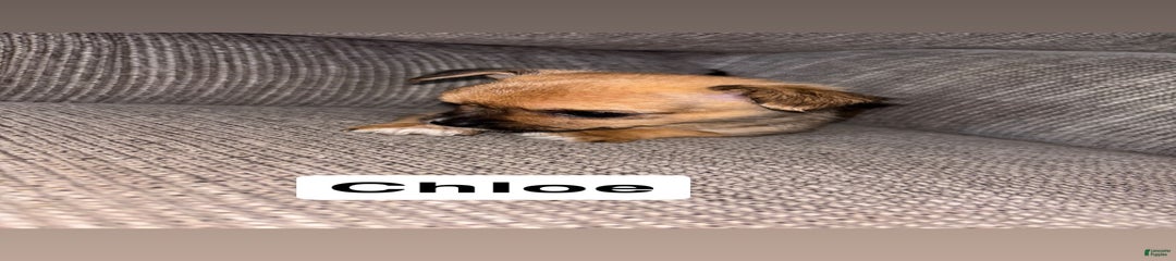 Chloe