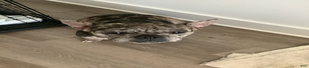 Stormy
