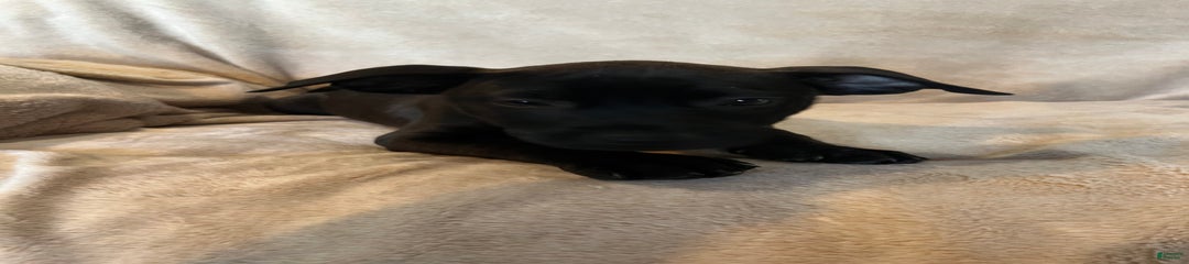 Lilith