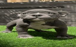 American Bully dogs for sale: Pretty Girl - Image 4