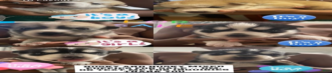J5