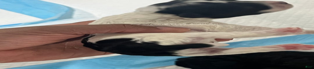 Ocean