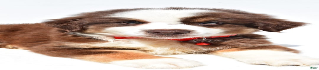 Titan