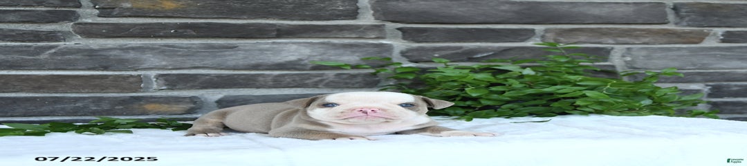 Coby