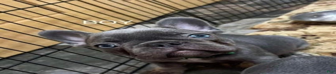 Nil
