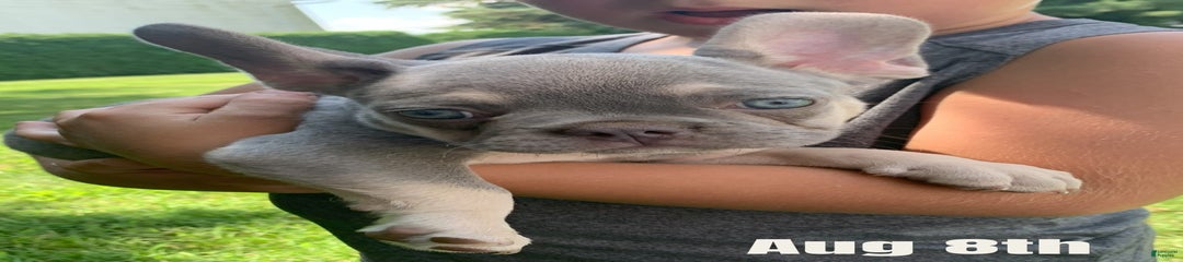 Pablo