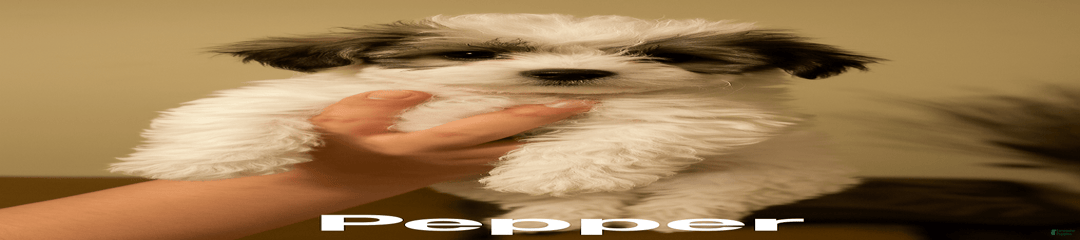Pepper