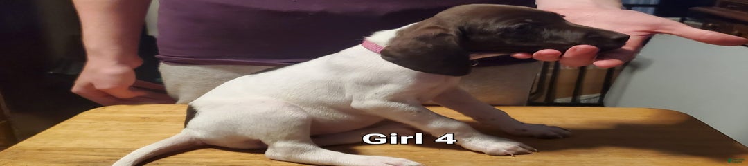 Girl 4