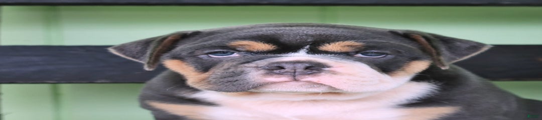 Rosie