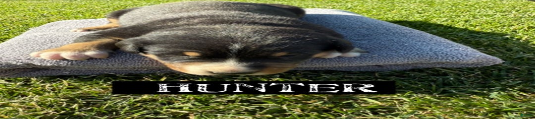 Hunter