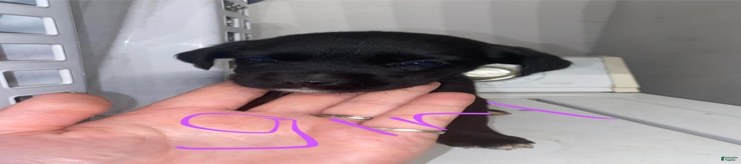 Mix