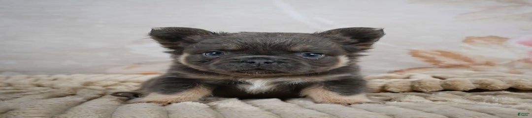 Roscoe