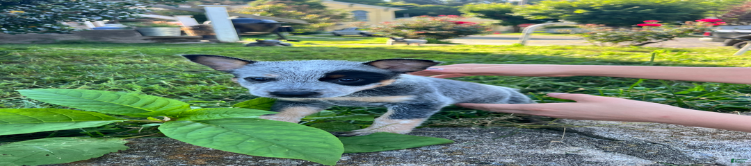 One