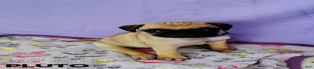 Pluto
