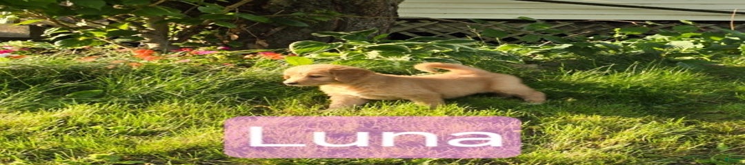 Luna