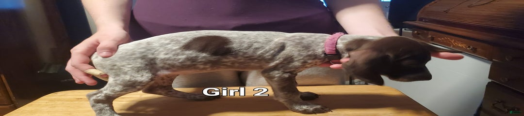Girl 2