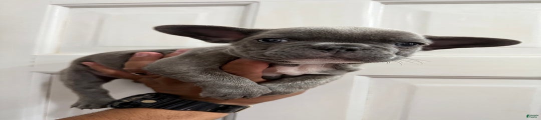 N/a