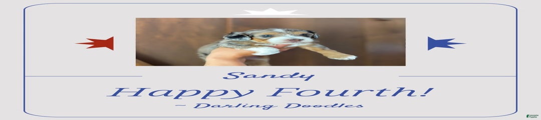Sandy