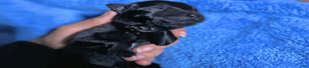 Female 2