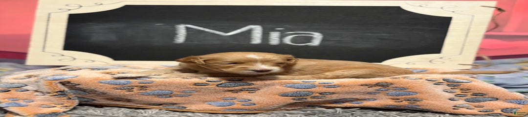 Mia