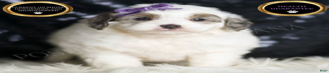 Hannah