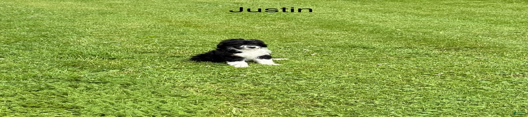Justin 77812
