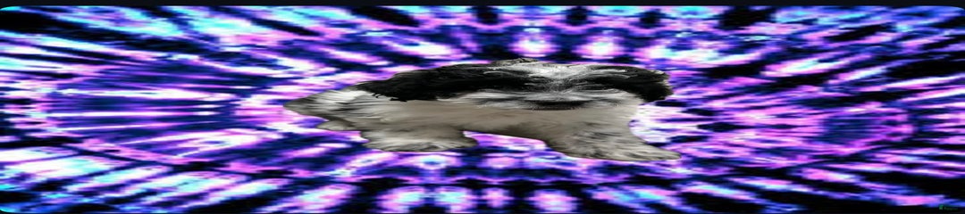 Dew